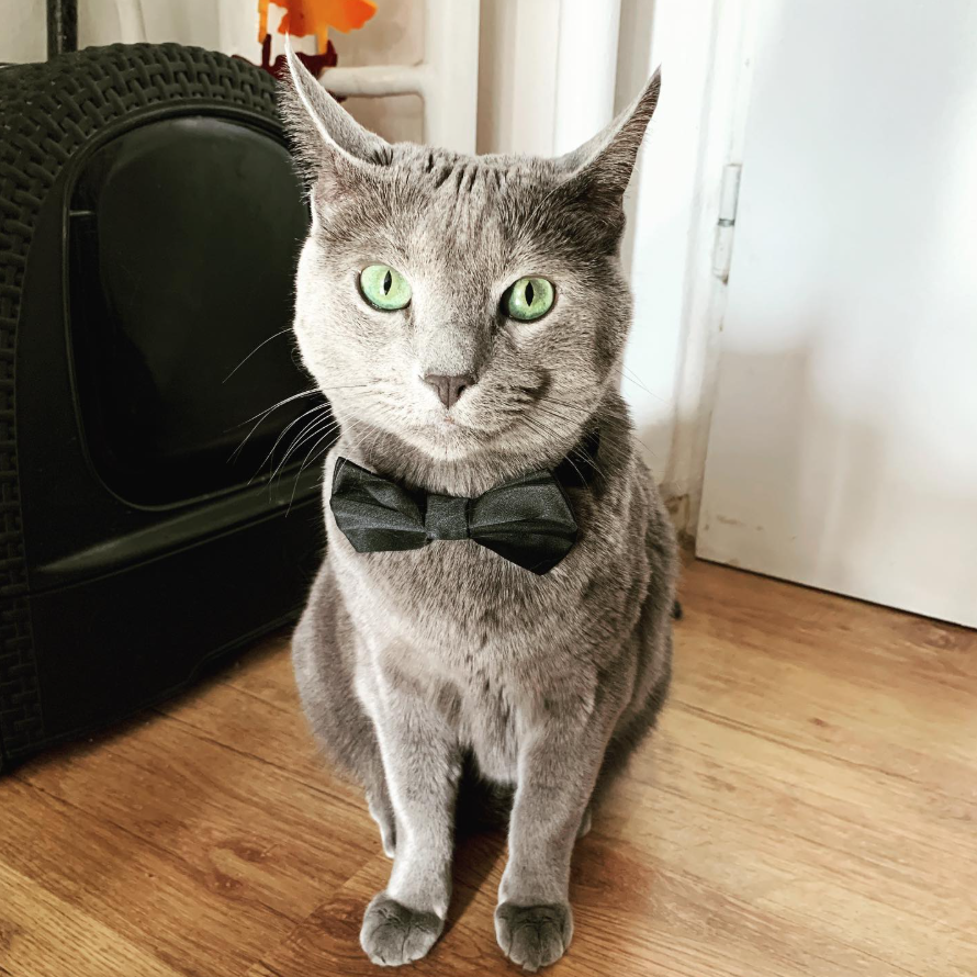 Моя фоточка